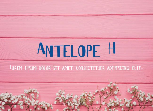 Antelope H example